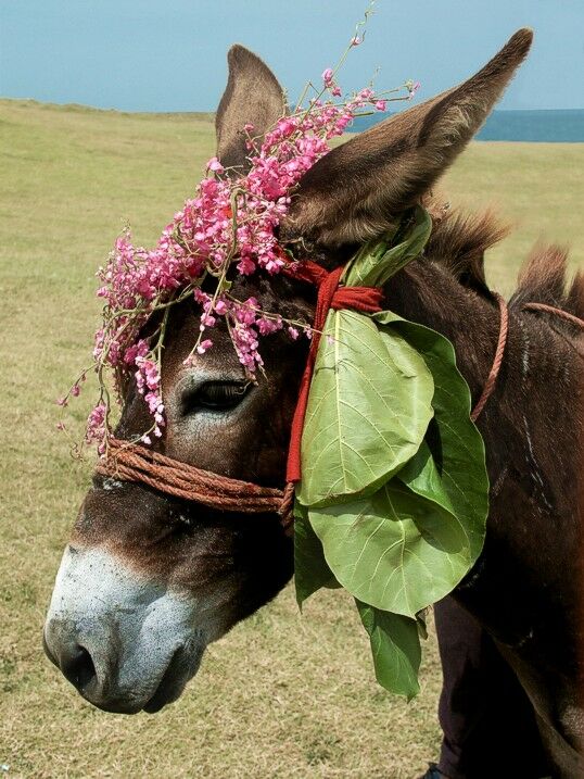 Click to See Next Image